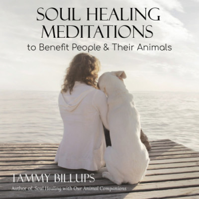 meditation cd front